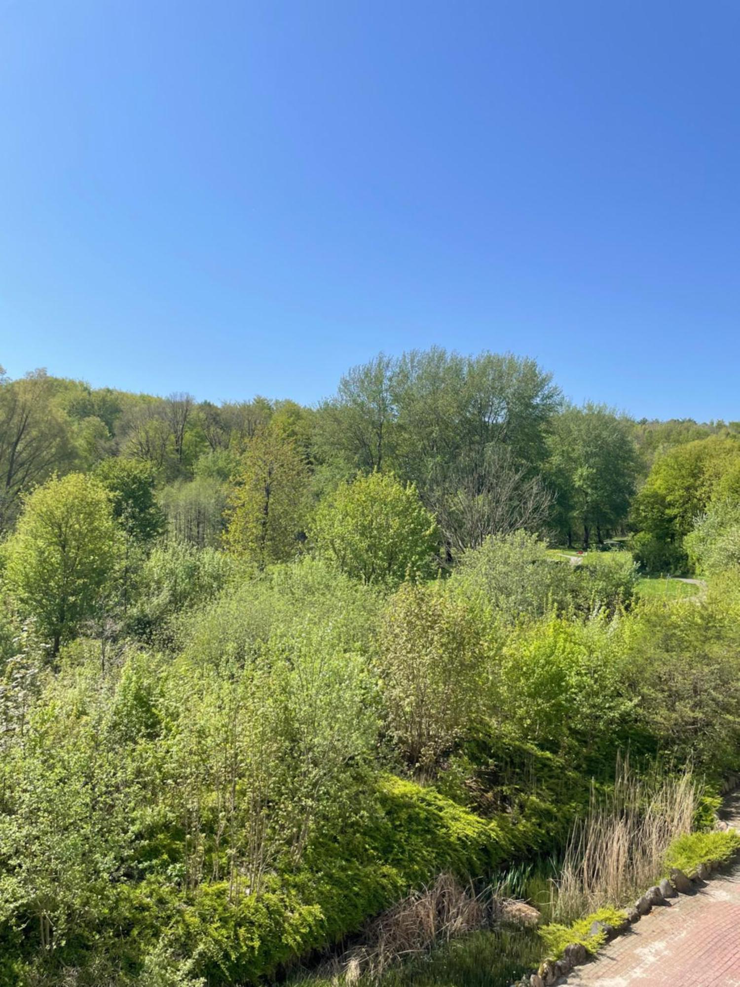 Apartment Strandliebe - Mit Meerblick Harrislee